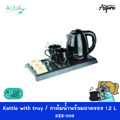 KES-009(1)