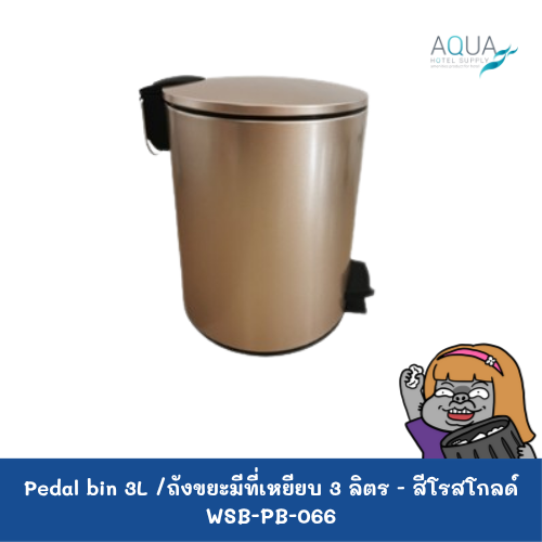 WSB-PB-066 C