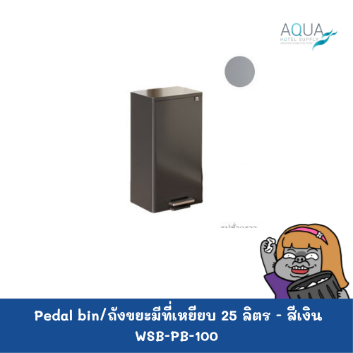 WSB-PB-100 C
