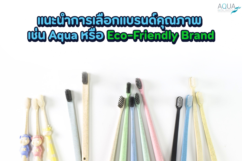 แนะนำการเลือกแบรนด์คุณภาพ เช่น Aqua หรือ Eco-Friendly Brand