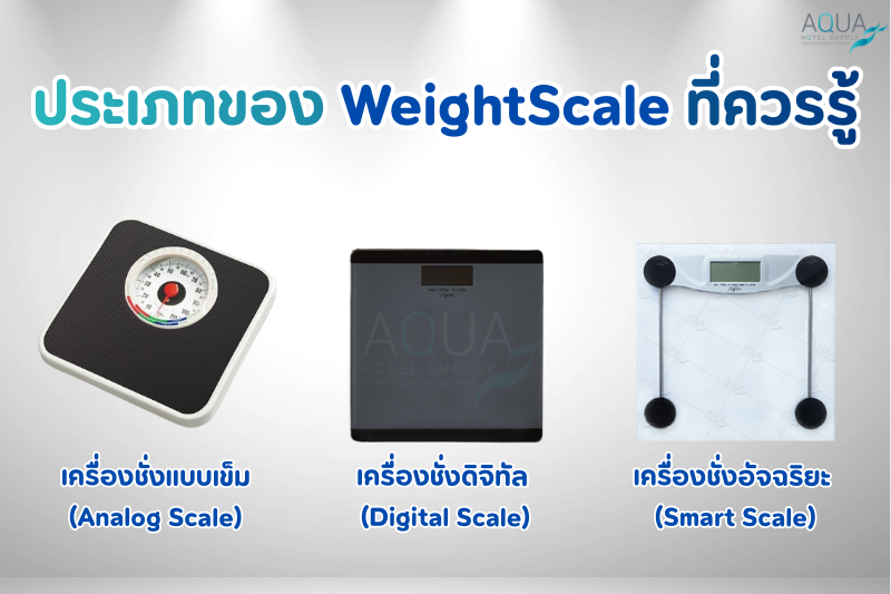 ประเภทของ WeightScale ที่ควรรู้