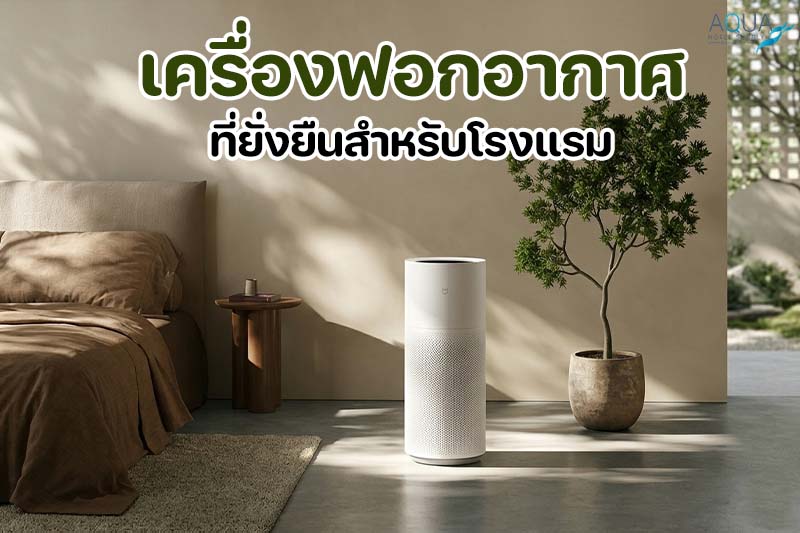 เครื่องฟอกอากาศในห้องพักโรงแรม, ระบบฟอกอากาศในห้อง, air purifier hotel room, wellness hotel, sustainable air quality